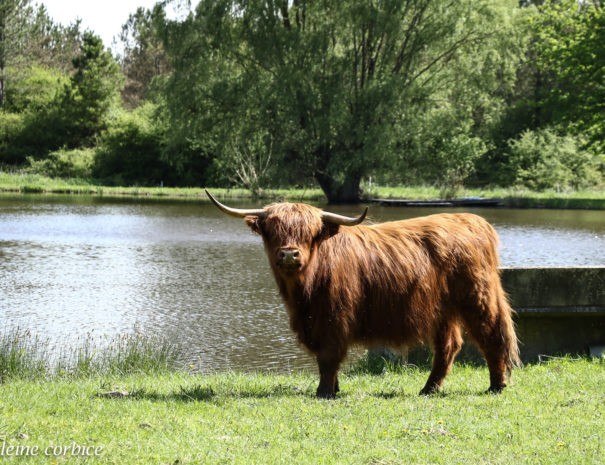 La ferme du gite de Nocfond en Sologne