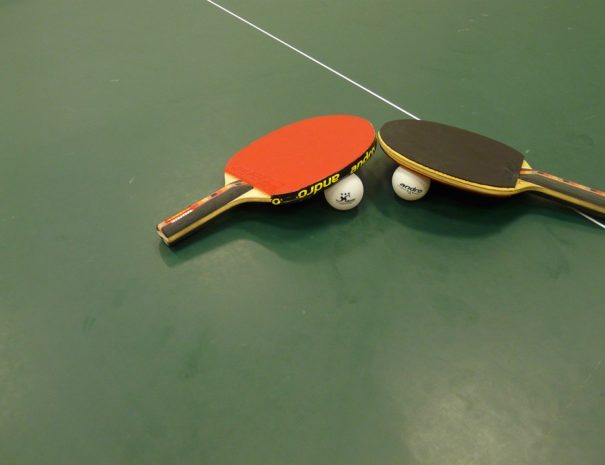 Table Tennis Sport Ping-pong Bat Table Tennis Bat