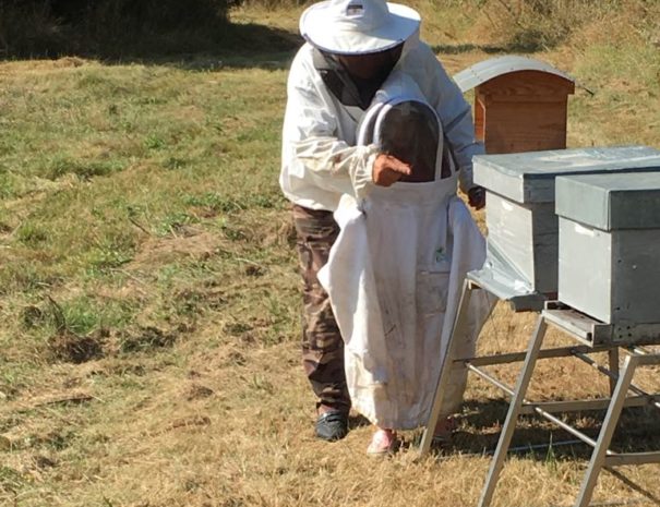 Apiculture